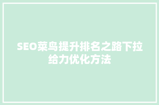 SEO菜鸟提升排名之路下拉给力优化方法