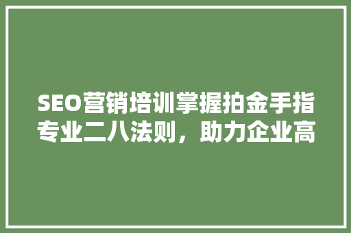 SEO营销培训掌握拍金手指专业二八法则，助力企业高效推广