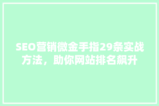 SEO营销微金手指29条实战方法，助你网站排名飙升