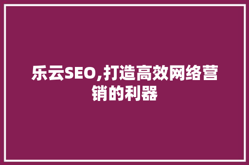 乐云SEO,打造高效网络营销的利器