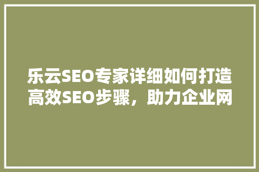 乐云SEO专家详细如何打造高效SEO步骤，助力企业网站优化