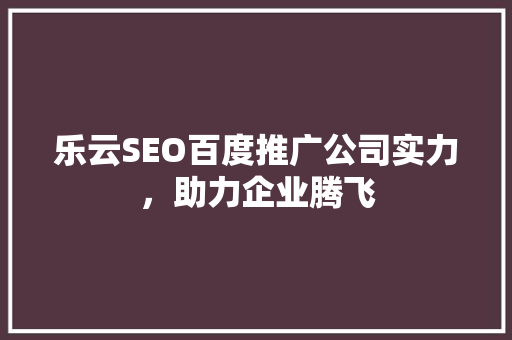 乐云SEO百度推广公司实力，助力企业腾飞