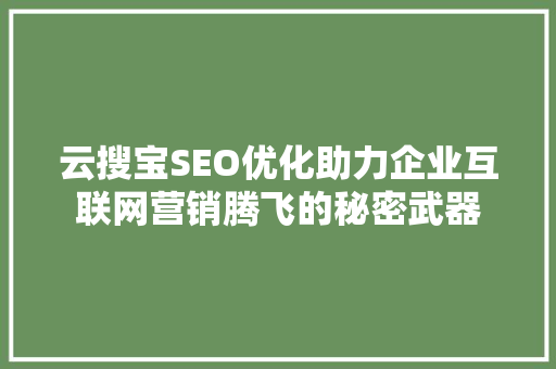 云搜宝SEO优化助力企业互联网营销腾飞的秘密武器