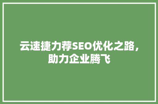 云速捷力荐SEO优化之路，助力企业腾飞
