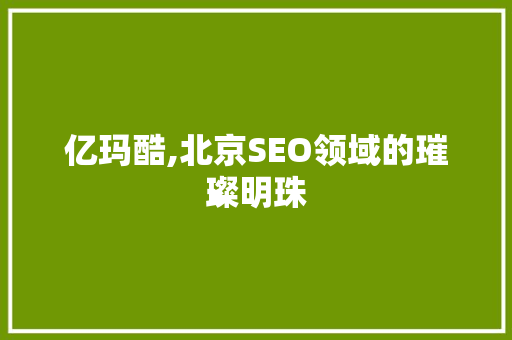 亿玛酷,北京SEO领域的璀璨明珠