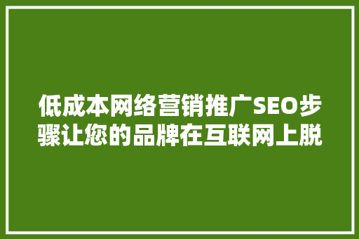 低成本网络营销推广SEO步骤让您的品牌在互联网上脱颖而出