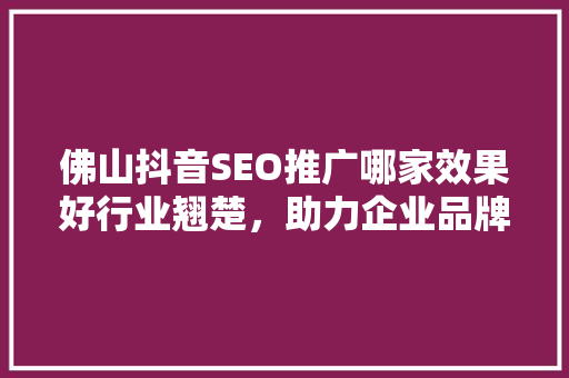 佛山抖音SEO推广哪家效果好行业翘楚，助力企业品牌腾飞