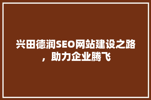 兴田德润SEO网站建设之路，助力企业腾飞