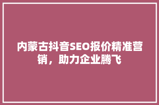 内蒙古抖音SEO报价精准营销，助力企业腾飞