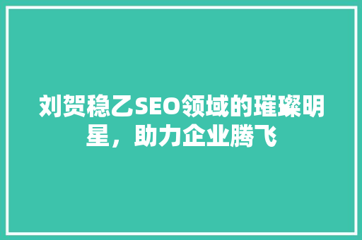 刘贺稳乙SEO领域的璀璨明星，助力企业腾飞