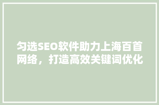 匀选SEO软件助力上海百首网络，打造高效关键词优化步骤