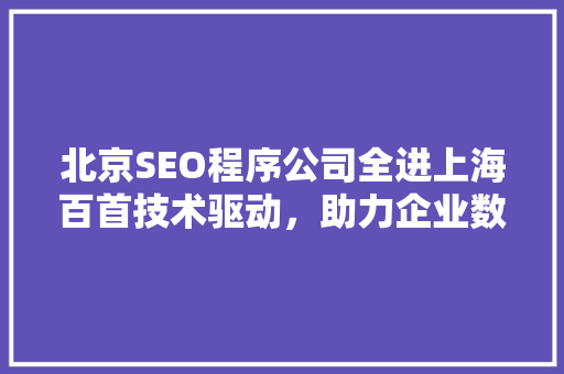 北京SEO程序公司全进上海百首技术驱动，助力企业数字化转型