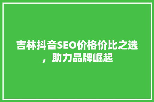 吉林抖音SEO价格价比之选，助力品牌崛起