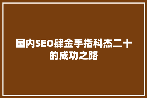 国内SEO肆金手指科杰二十的成功之路