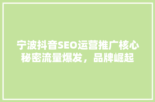 宁波抖音SEO运营推广核心秘密流量爆发，品牌崛起