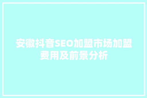 安徽抖音SEO加盟市场加盟费用及前景分析