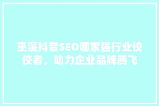 巫溪抖音SEO哪家强行业佼佼者，助力企业品牌腾飞