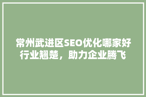 常州武进区SEO优化哪家好行业翘楚，助力企业腾飞