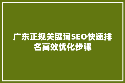 广东正规关键词SEO快速排名高效优化步骤