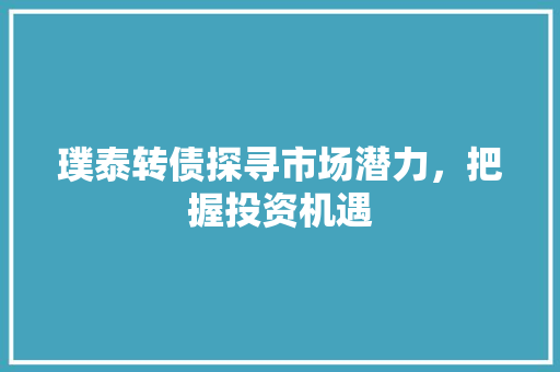 璞泰转债探寻市场潜力，把握投资机遇