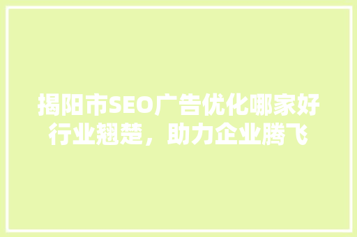 揭阳市SEO广告优化哪家好行业翘楚，助力企业腾飞
