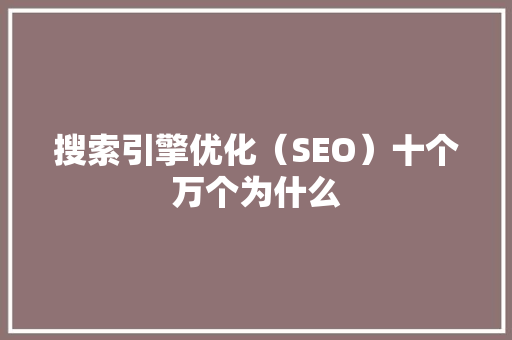 搜索引擎优化（SEO）十个万个为什么