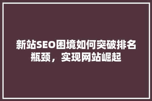 新站SEO困境如何突破排名瓶颈，实现网站崛起