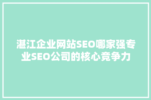 湛江企业网站SEO哪家强专业SEO公司的核心竞争力