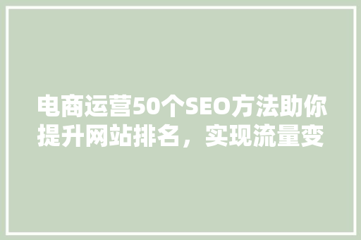 电商运营50个SEO方法助你提升网站排名，实现流量变现