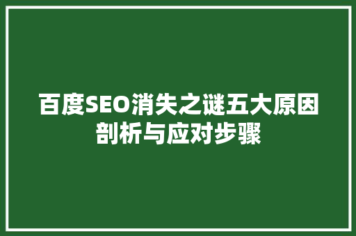 百度SEO消失之谜五大原因剖析与应对步骤