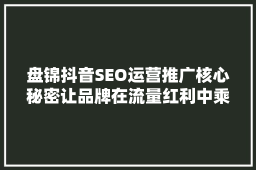 盘锦抖音SEO运营推广核心秘密让品牌在流量红利中乘风破浪