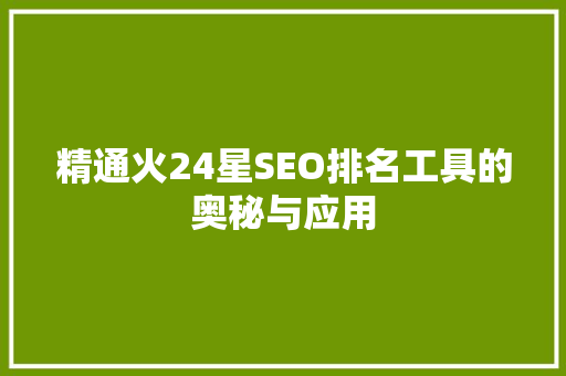 精通火24星SEO排名工具的奥秘与应用
