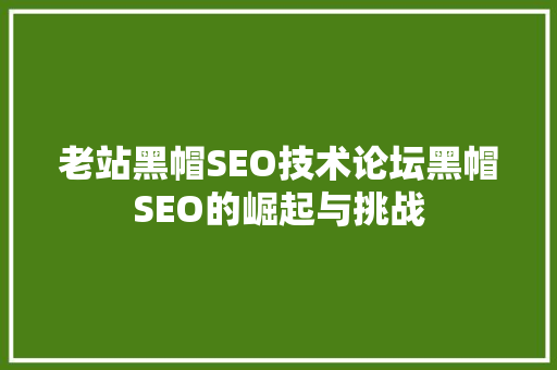 老站黑帽SEO技术论坛黑帽SEO的崛起与挑战