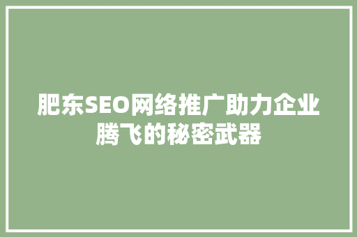 肥东SEO网络推广助力企业腾飞的秘密武器