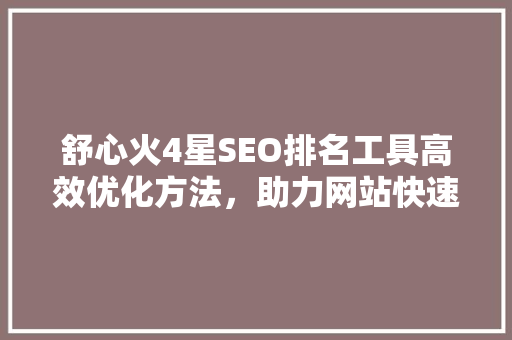 舒心火4星SEO排名工具高效优化方法，助力网站快速崛起
