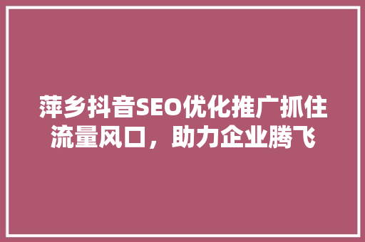萍乡抖音SEO优化推广抓住流量风口，助力企业腾飞
