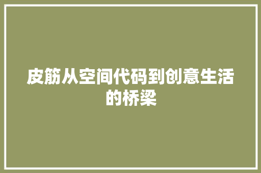皮筋从空间代码到创意生活的桥梁