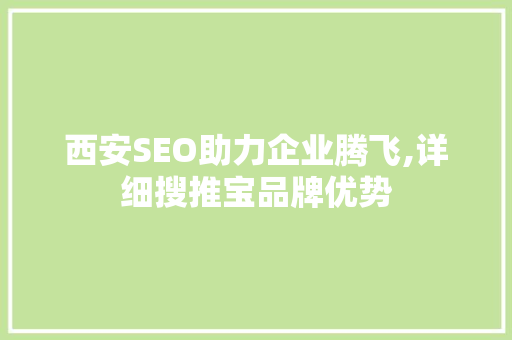 西安SEO助力企业腾飞,详细搜推宝品牌优势
