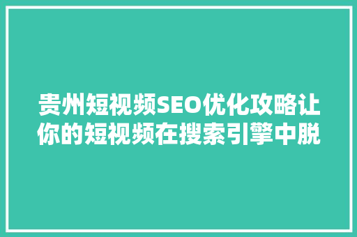 贵州短视频SEO优化攻略让你的短视频在搜索引擎中脱颖而出