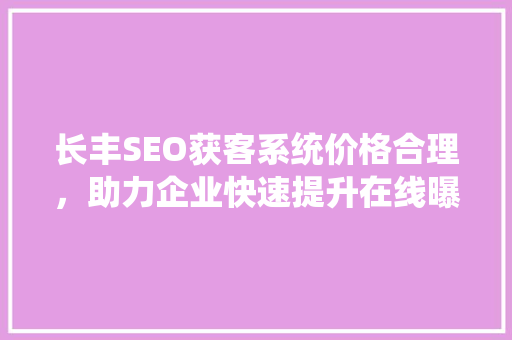 长丰SEO获客系统价格合理，助力企业快速提升在线曝光率