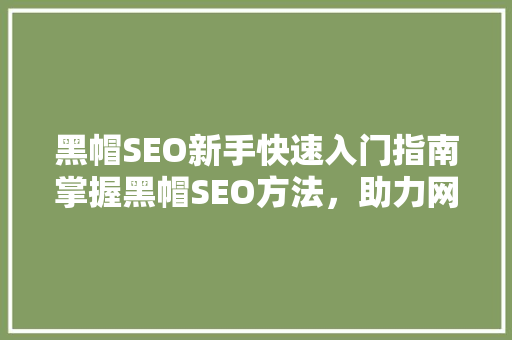 黑帽SEO新手快速入门指南掌握黑帽SEO方法，助力网站排名提升