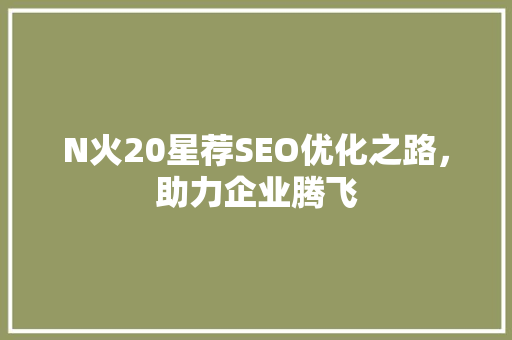 N火20星荐SEO优化之路，助力企业腾飞