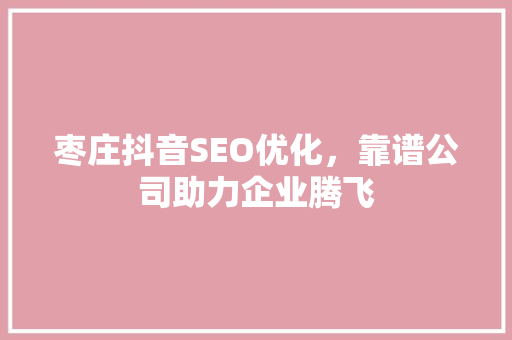 枣庄抖音SEO优化，靠谱公司助力企业腾飞