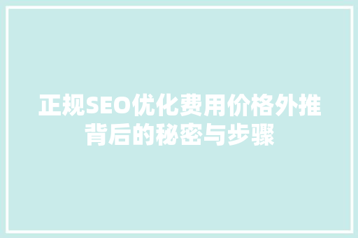 正规SEO优化费用价格外推背后的秘密与步骤