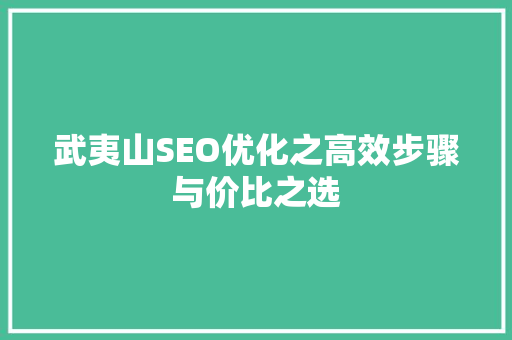 武夷山SEO优化之高效步骤与价比之选