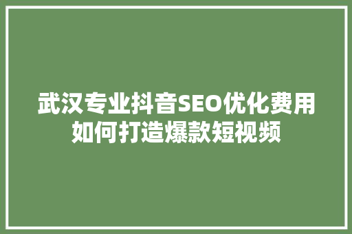 武汉专业抖音SEO优化费用如何打造爆款短视频