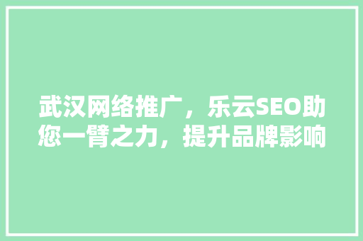 武汉网络推广，乐云SEO助您一臂之力，提升品牌影响力