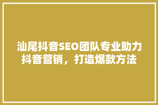 汕尾抖音SEO团队专业助力抖音营销，打造爆款方法