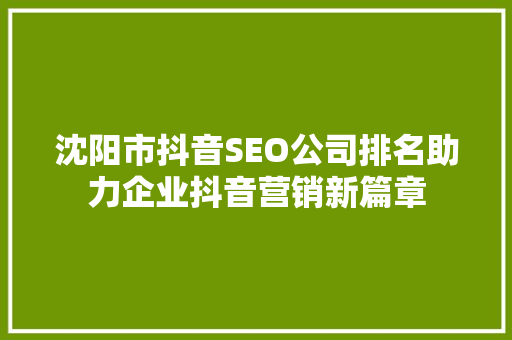 沈阳市抖音SEO公司排名助力企业抖音营销新篇章