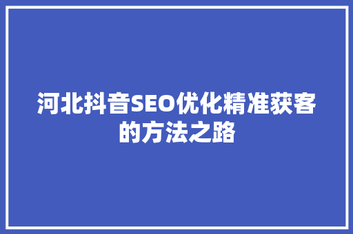 河北抖音SEO优化精准获客的方法之路